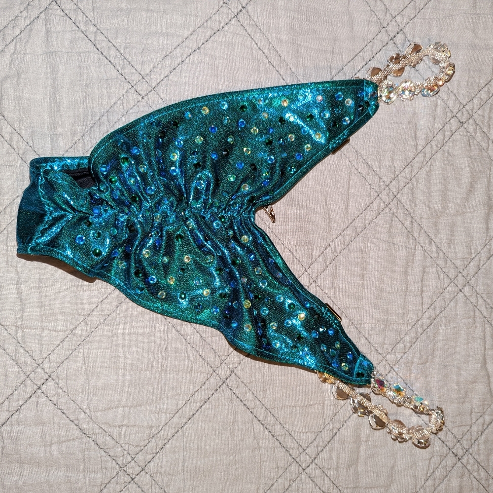 Bikini Competition Suit - image 5